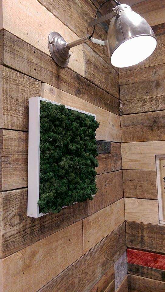 Coiffeur l'Instant Cocoon